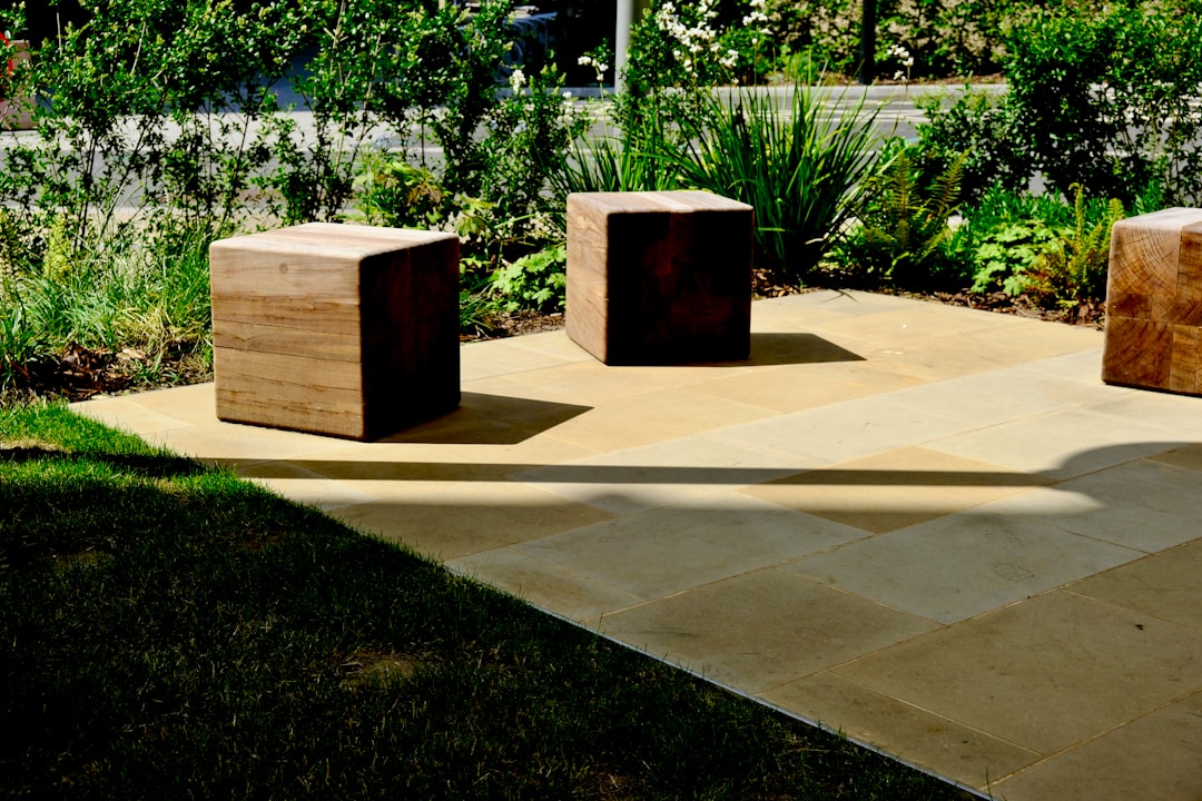 Finished landscaped patio with sawn paving and planting