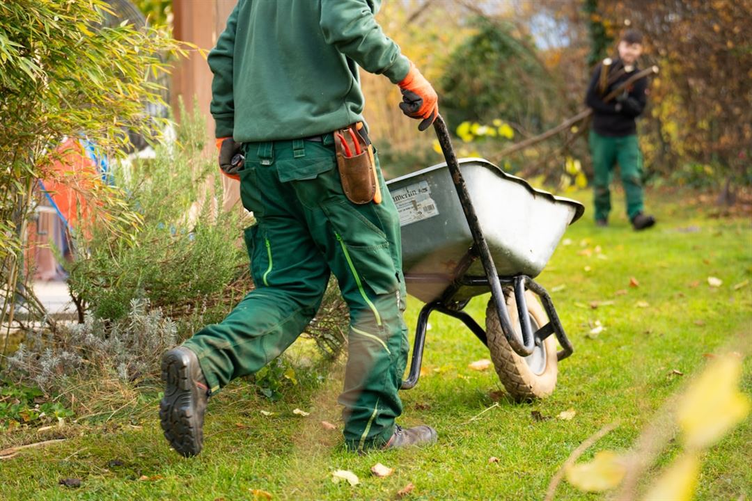 Two landscapers in workwear clearing a garden, one barrowing spoil and one raking behind